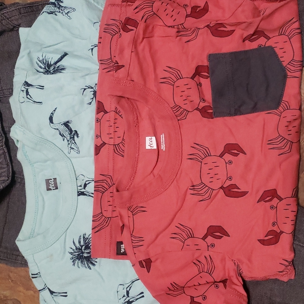 Tea collection bundle 5t